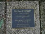 image number 264 Reginald Bradley